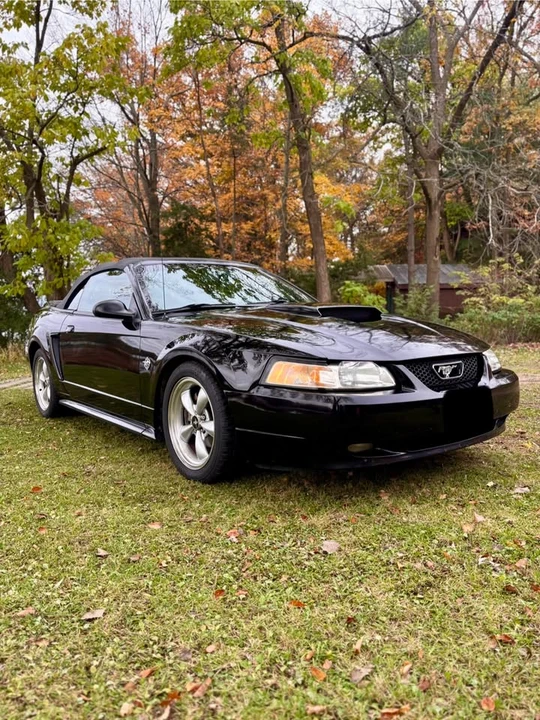 1999 Ford SN95 Mustang - Image 2 of 10