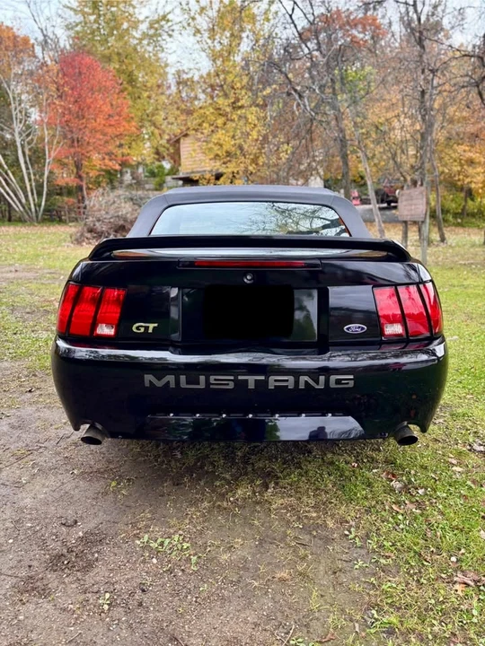 1999 Ford SN95 Mustang - Image 4 of 10