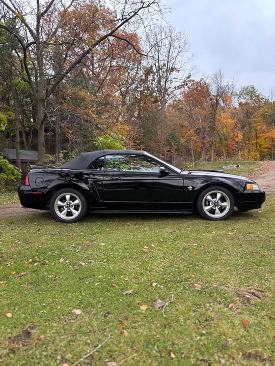 1999 Ford SN95 Mustang - Image 6 of 10