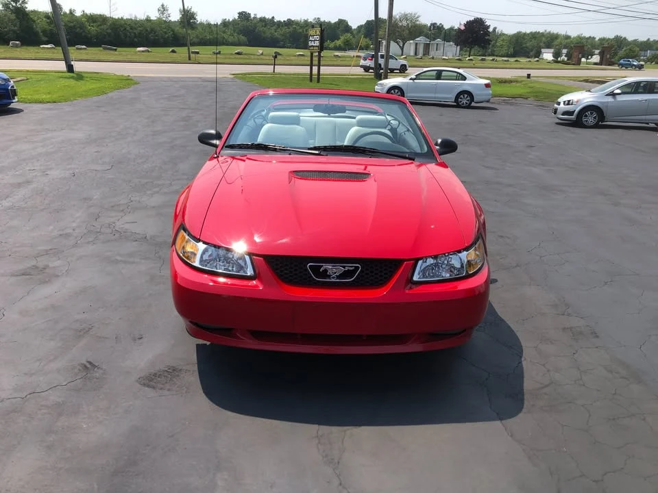 1999 Ford SN95 Mustang - Image 5 of 17