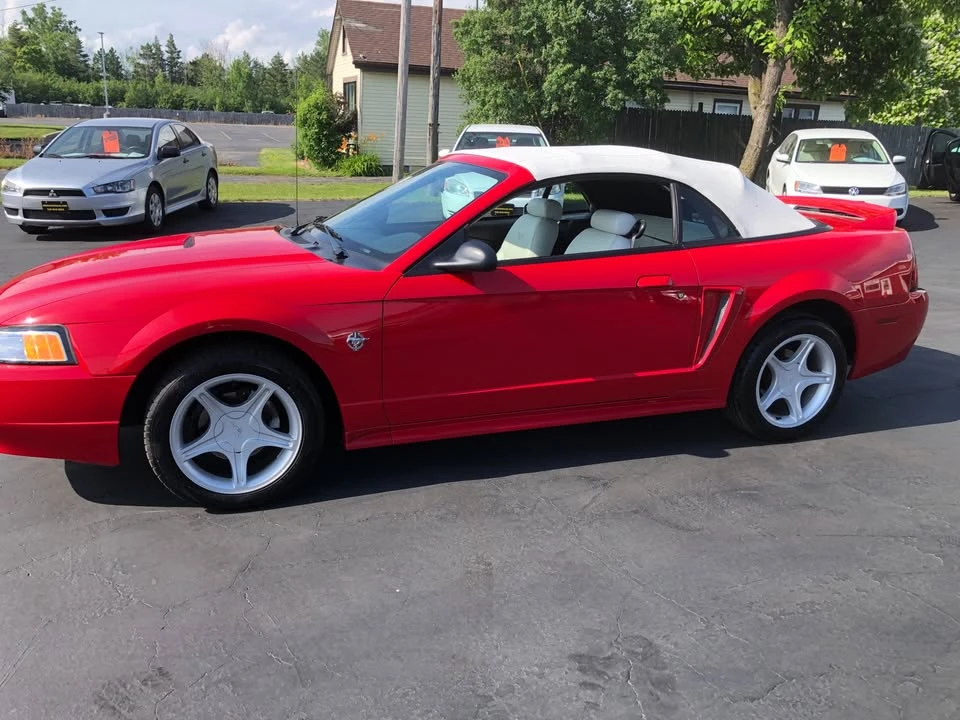 1999 Ford SN95 Mustang - Image 4 of 17