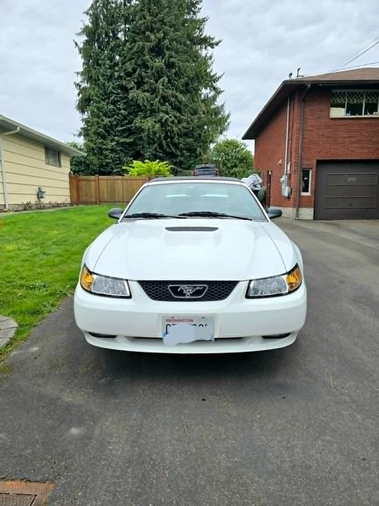 1999 Ford SN95 Mustang - Image 3 of 10