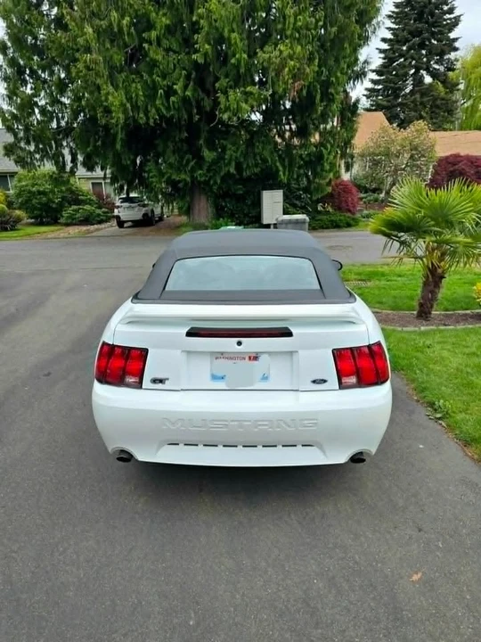 1999 Ford SN95 Mustang - Image 4 of 10