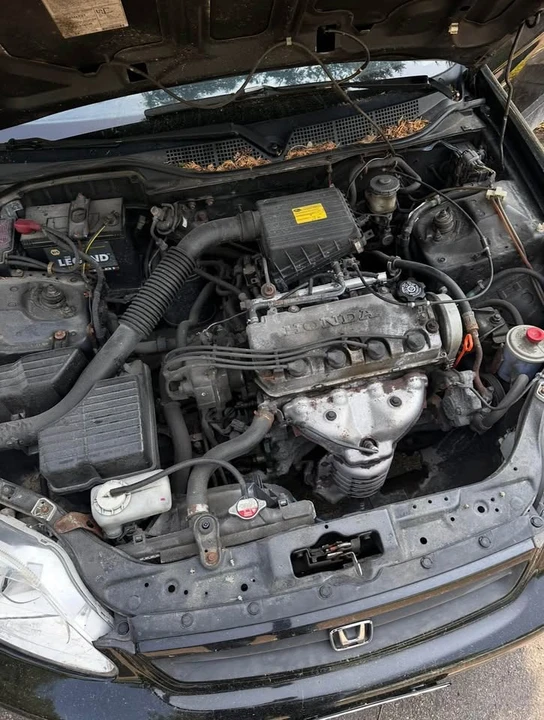 1999 Honda EK Civic - Image 11 of 13