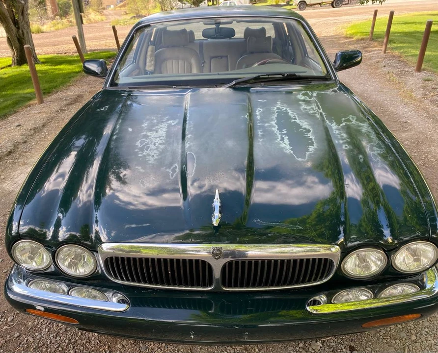 1999 Jaguar X308 XJ - Image 13 of 14