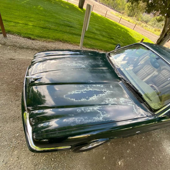 1999 Jaguar X308 XJ - Image 3 of 14