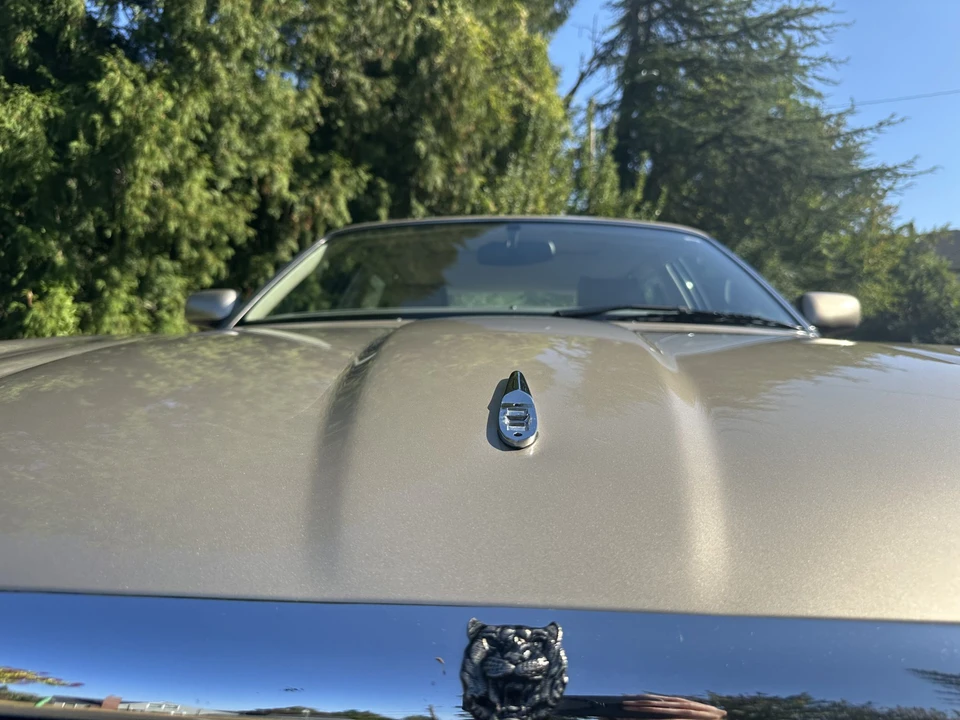 1999 Jaguar X308 XJ - Image 21 of 31