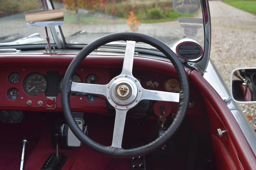 2025 Jaguar Replica - Image 28 of 30