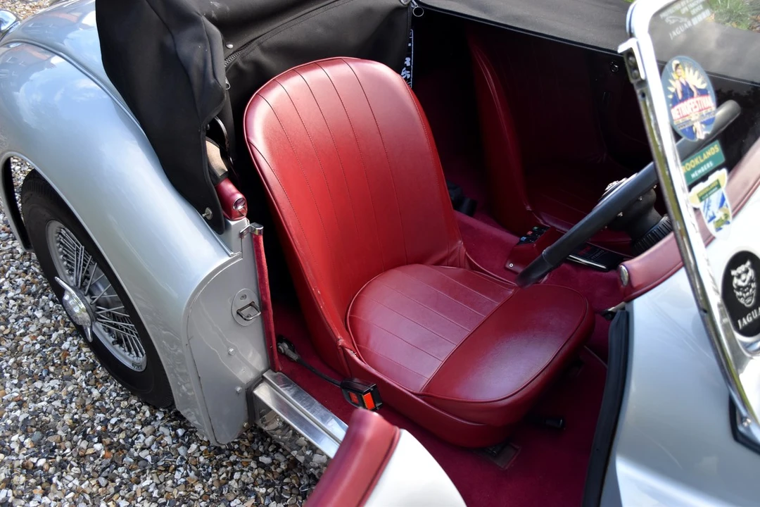 2025 Jaguar Replica - Image 24 of 30