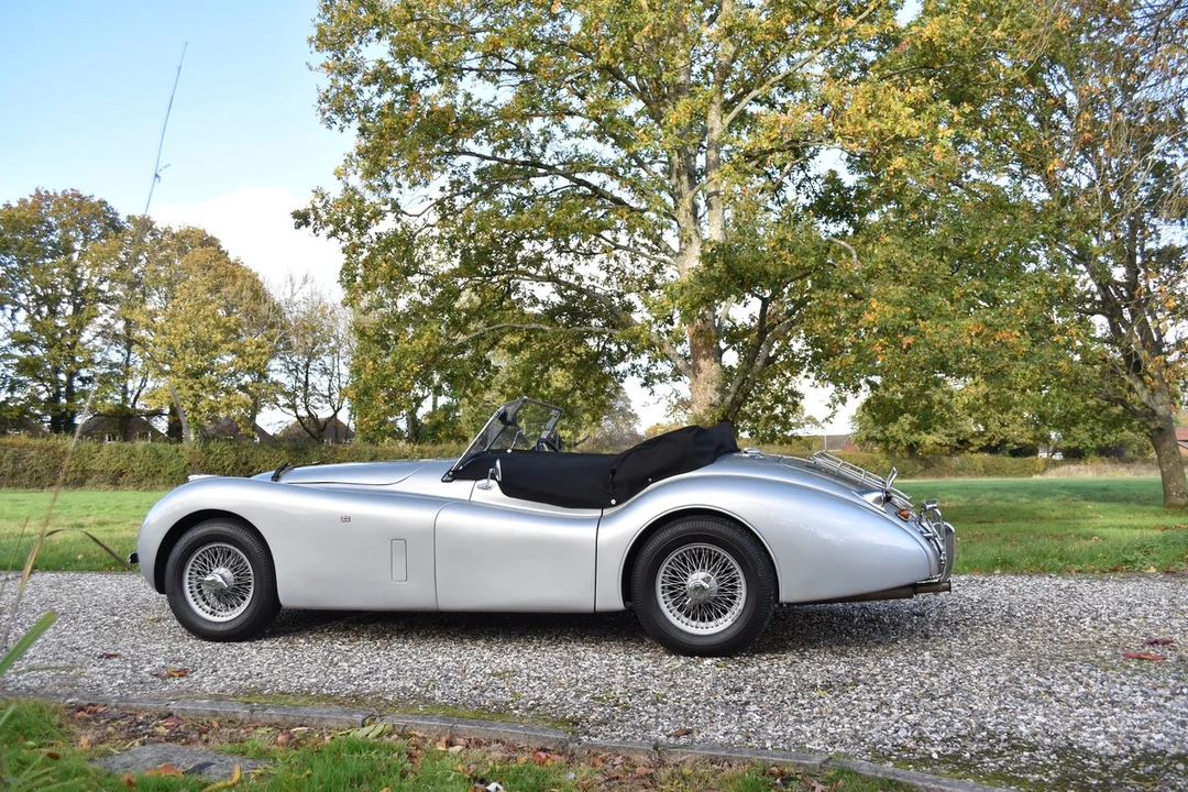 2025 Jaguar Replica - Image 11 of 30