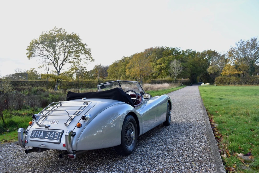 2025 Jaguar Replica - Image 6 of 30