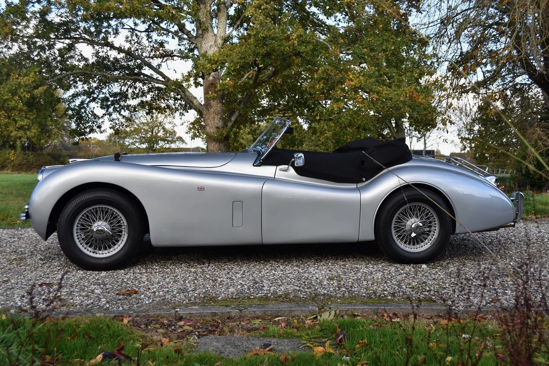 2025 Jaguar Replica - Image 10 of 30
