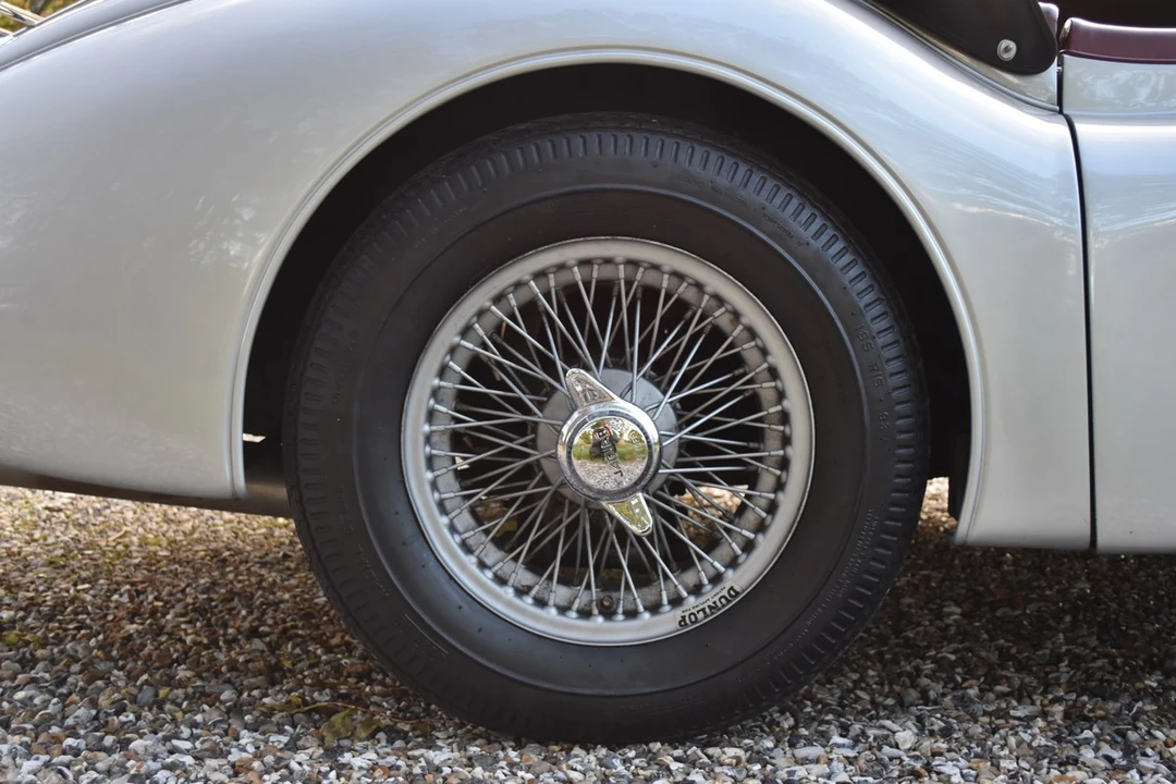 2025 Jaguar Replica - Image 18 of 30