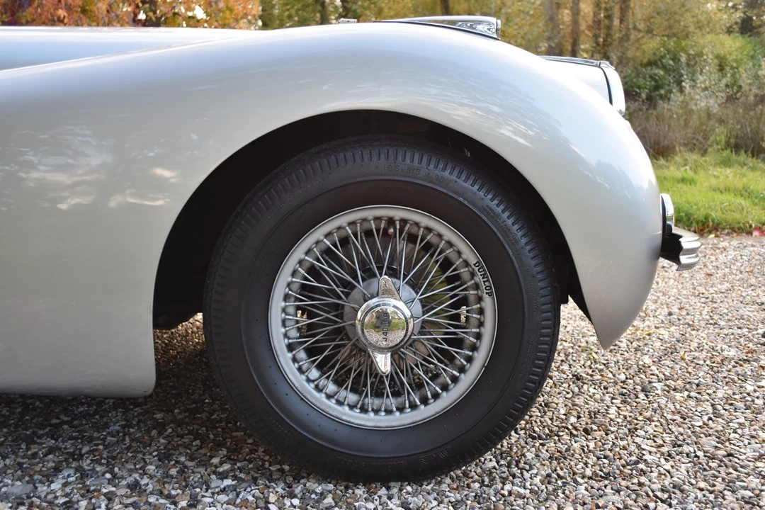 2025 Jaguar Replica - Image 17 of 30