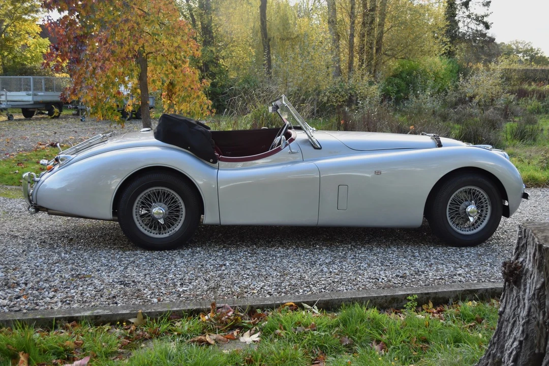 2025 Jaguar Replica - Image 3 of 30