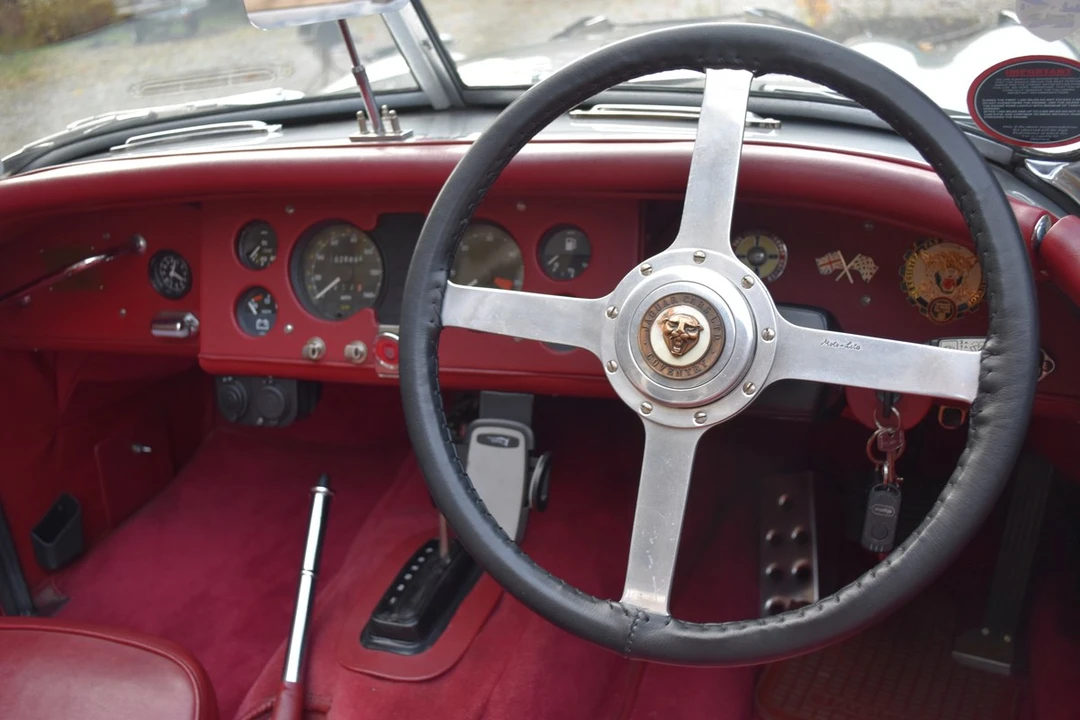 2025 Jaguar Replica - Image 25 of 30