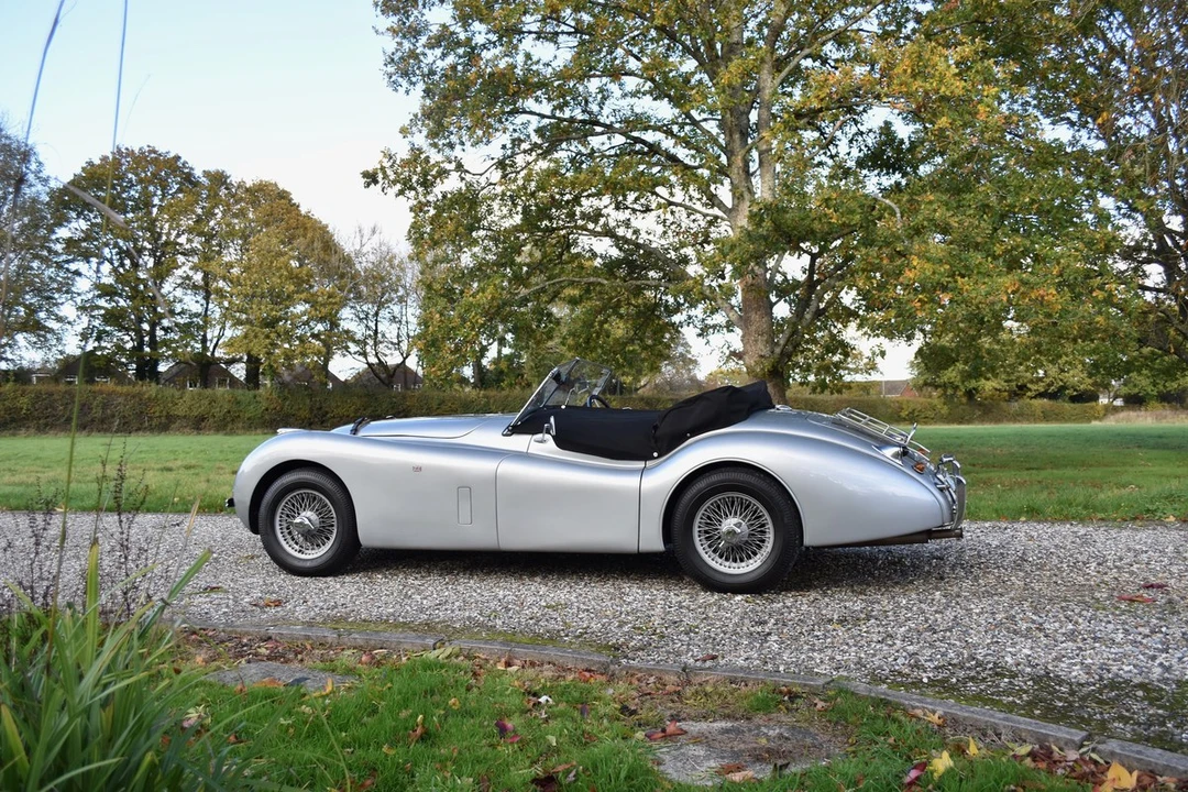 2025 Jaguar Replica - Image 12 of 30