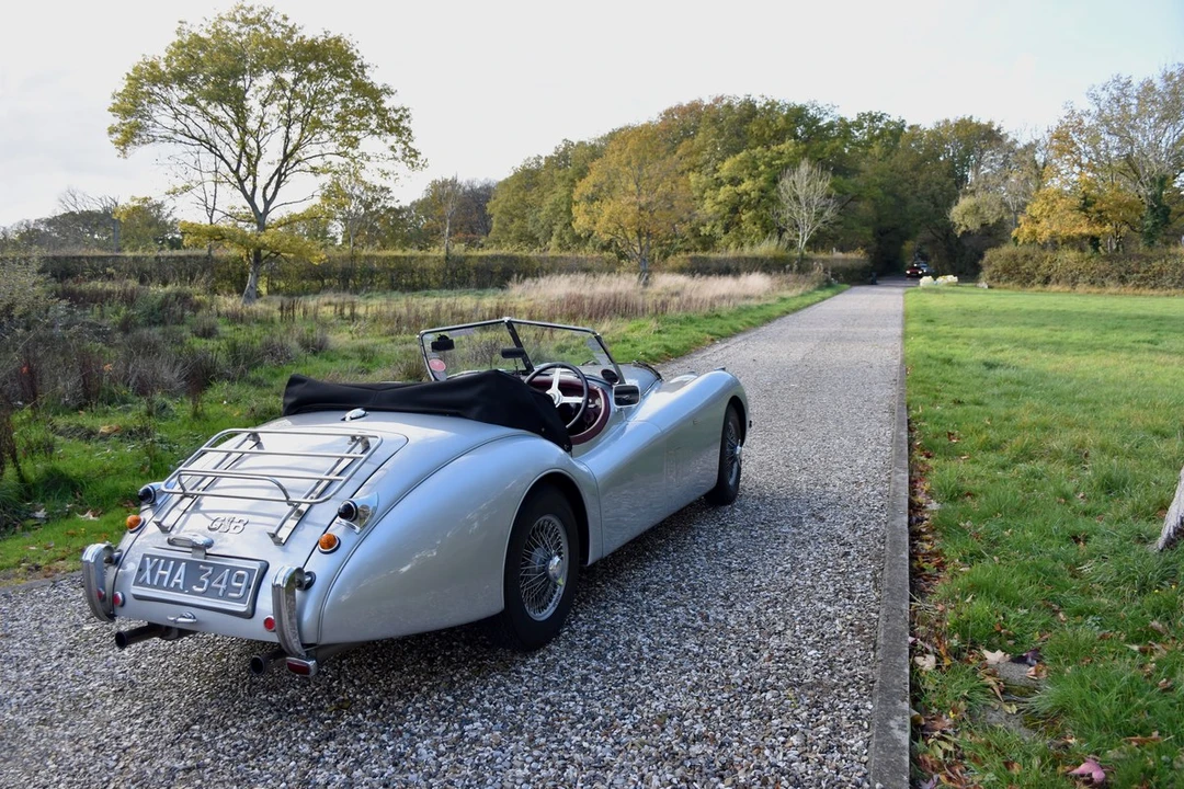 2025 Jaguar Replica - Image 5 of 30