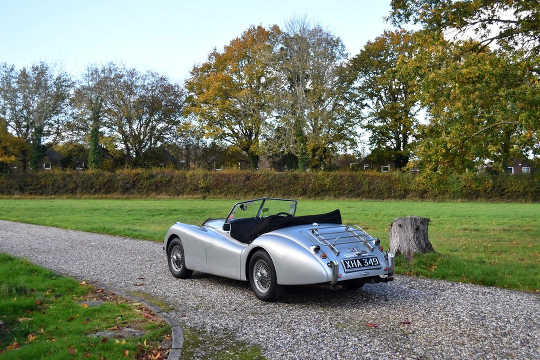 2025 Jaguar Replica - Image 9 of 30