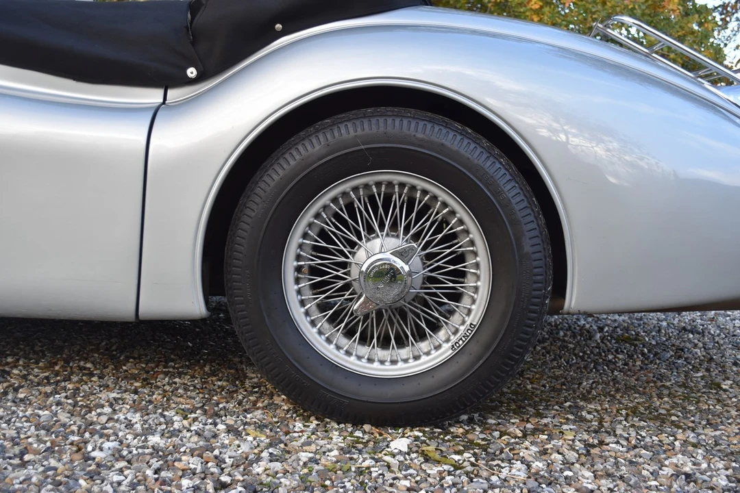 2025 Jaguar Replica - Image 19 of 30