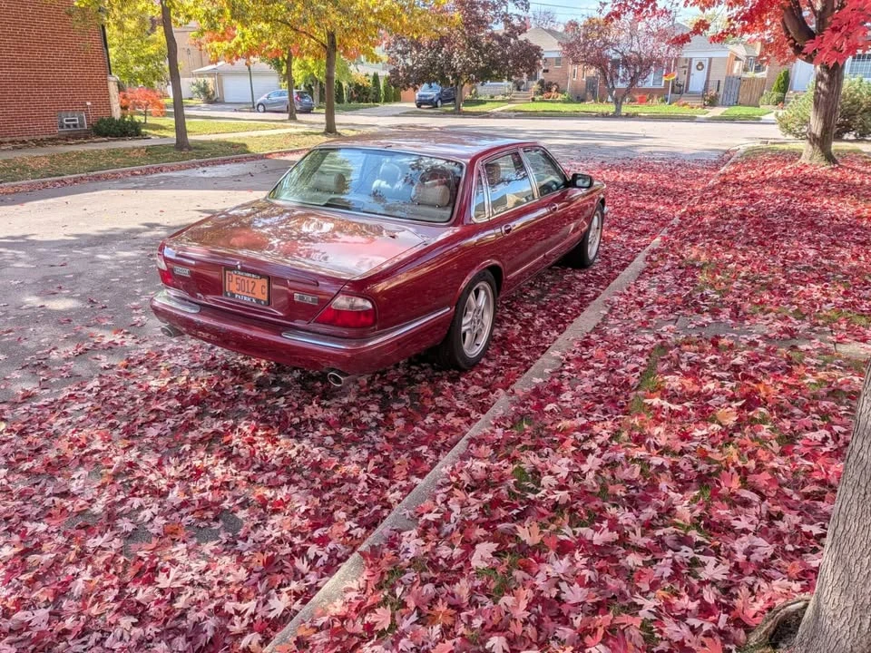 1999 Jaguar X308 XJR - Image 3 of 9