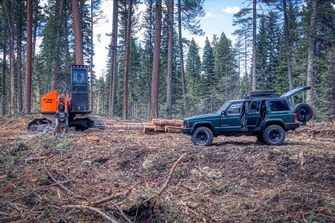 1999 Jeep XJ Cherokee - Image 11 of 31