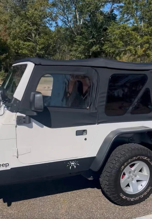 1999 Jeep TJ Wrangler - Image 4 of 5