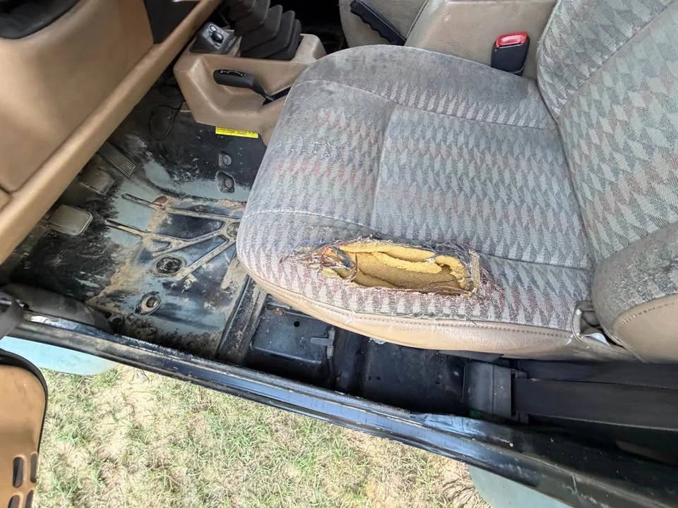 1999 Jeep TJ Wrangler - Image 10 of 16