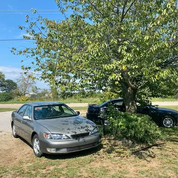 1999 Lexus ES 300 Sedan