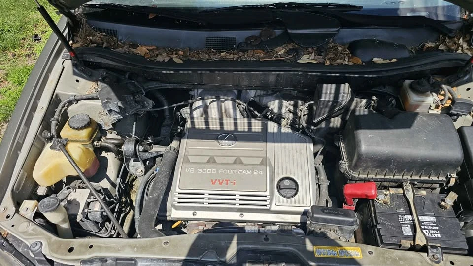 1999 Lexus RX 1st Gen - Image 13 of 13
