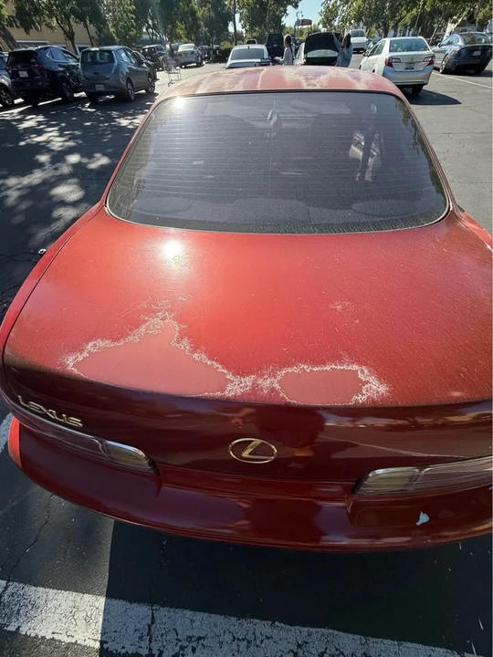 1999 Lexus SC400 - Image 3 of 8
