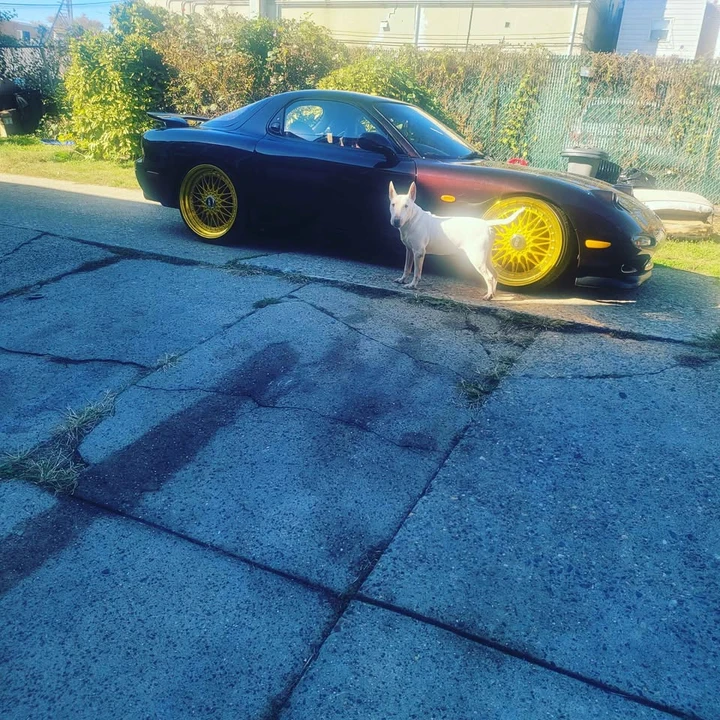 1999 Mazda RX-7 FD - Image 4 of 6