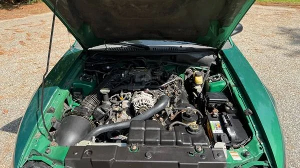 1999 Ford SN95 Mustang - Image 8 of 12