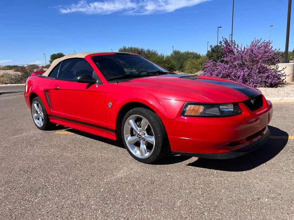 1999 Ford SN95 Mustang - Image 5 of 22