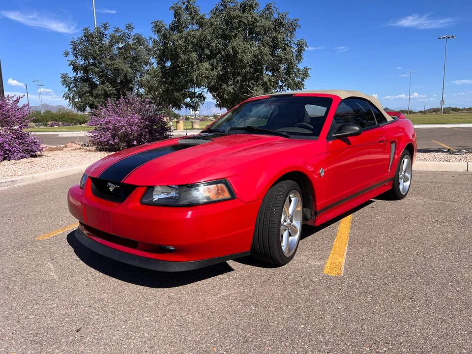 1999 Ford SN95 Mustang - Image 4 of 22