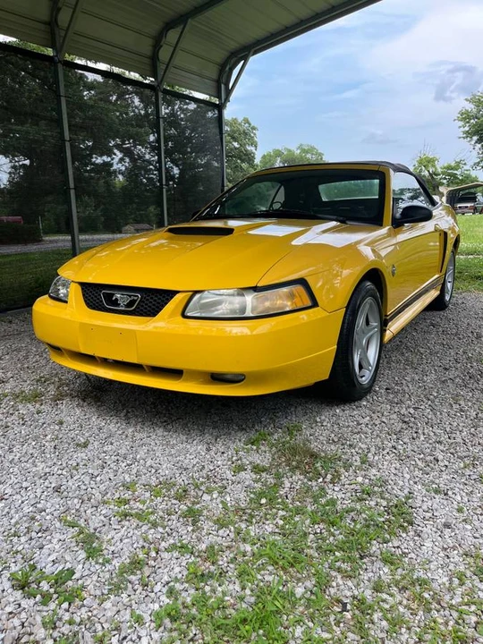 1999 Ford SN95 Mustang - Image 2 of 6