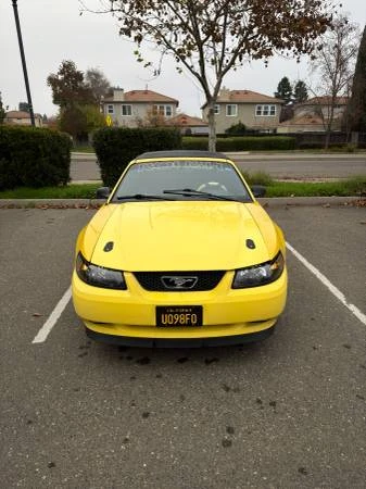 1999 Ford SN95 Mustang - Image 2 of 20