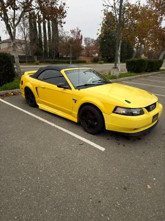 1999 Ford SN95 Mustang - Image 4 of 20