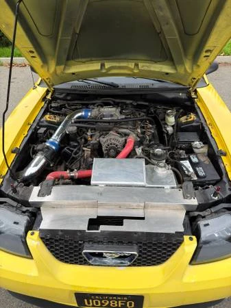 1999 Ford SN95 Mustang - Image 11 of 20
