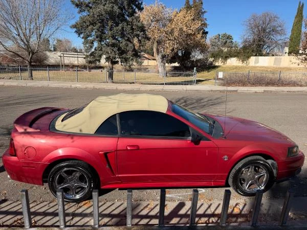 1999 Ford SN95 Mustang - Image 5 of 12