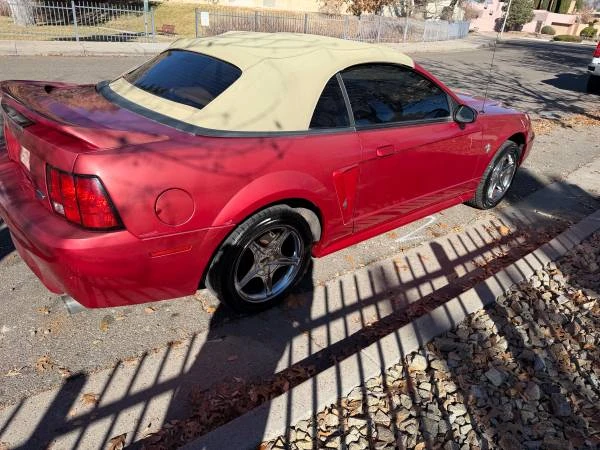 1999 Ford SN95 Mustang - Image 6 of 12