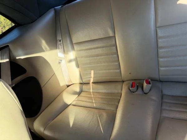1999 Ford SN95 Mustang - Image 8 of 12