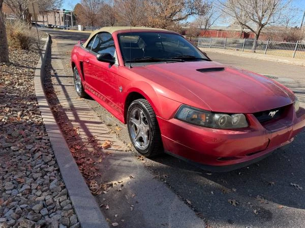 1999 Ford SN95 Mustang - Image 4 of 12
