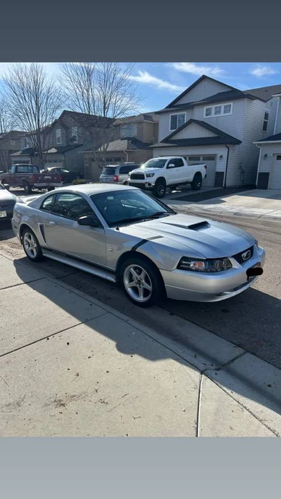 1999 Ford SN95 Mustang - Image 4 of 14