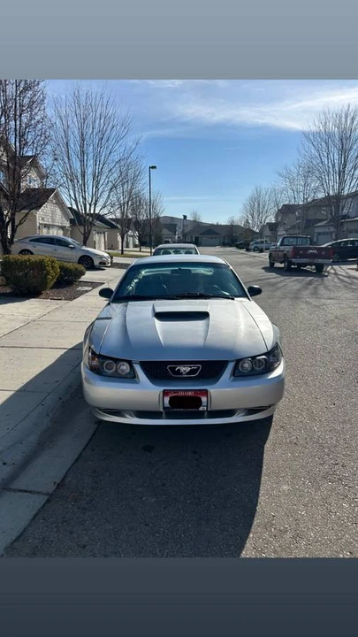 1999 Ford SN95 Mustang - Image 5 of 14