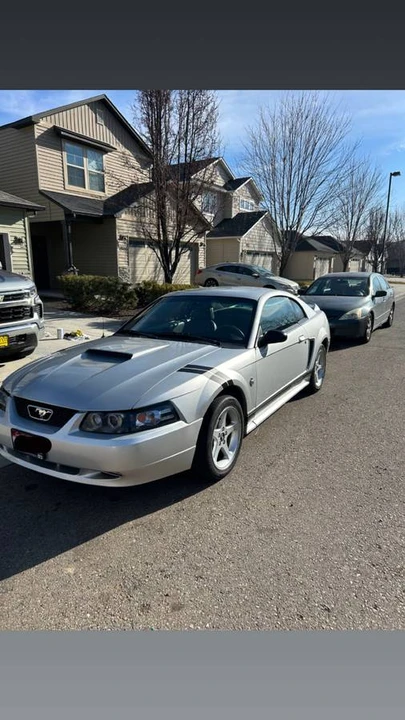 1999 Ford SN95 Mustang - Image 6 of 14