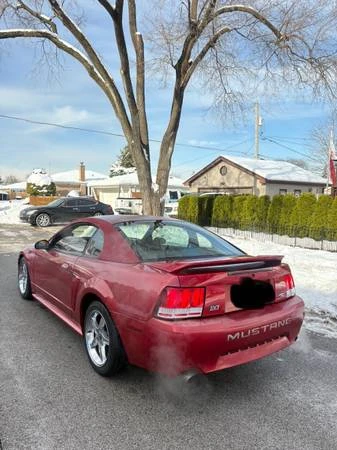 1999 Ford SN95 Mustang - Image 7 of 10