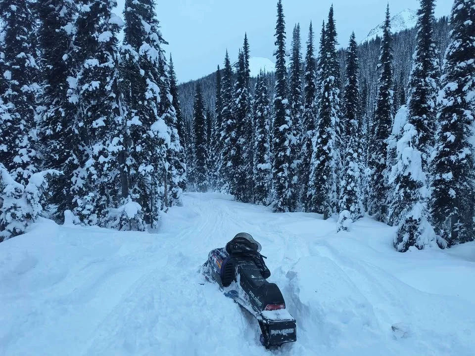 1999 Polaris - Image 7 of 7