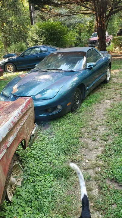 1999 Pontiac Firebird 4th Gen - Image 4 of 7