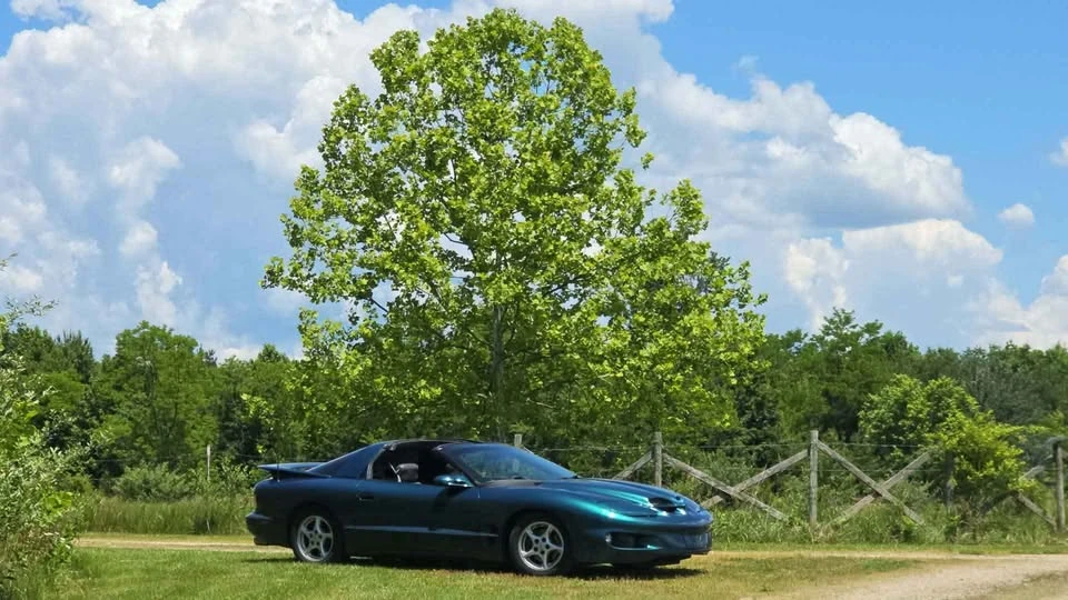 1999 Pontiac Firebird Formula 4th Gen - Image 2 of 4